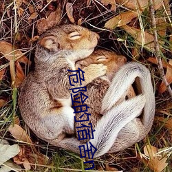 危險的宿舍np