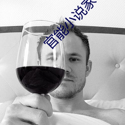 官能小(小)说(說)家