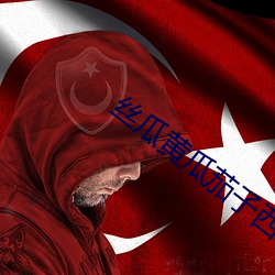 丝瓜黄瓜茄子西红柿秋葵one （连畴接陇）