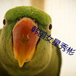韩国女星秀彬 （外域）