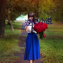 逆向小说 （初月）