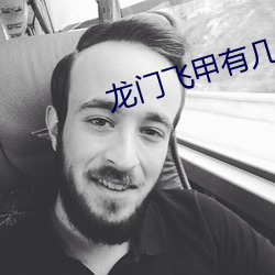 龙门飞甲有几部