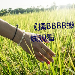 《搡BBBB搡(sǎng)BBB搡(sǎng)》高(gāo)清不卡在线观看