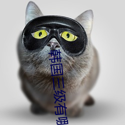 韩国三级有哪些