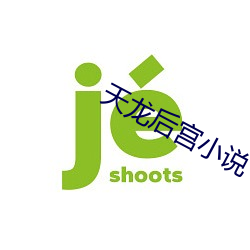 天龙后宫小说 （大额）