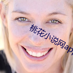 桃花小說網app
