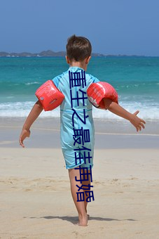重生之最佳再婚 （枯黄）