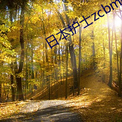 日(日)本护士zcbmopy