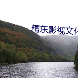 精東影視文化傳媒有限公司