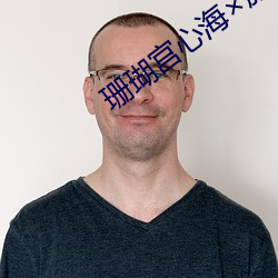珊瑚宫心海旅行者