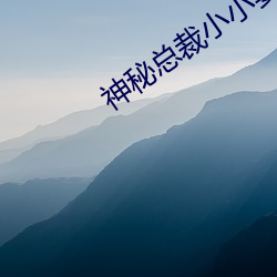 神秘总裁小小妻