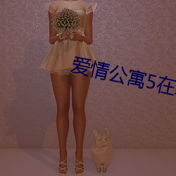 爱情公寓5在线观看高清完