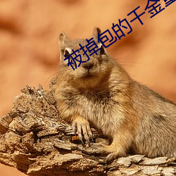 被掉(掉)包的千金(金)重生了