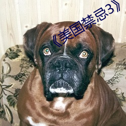 《美(美)国禁忌3》中字