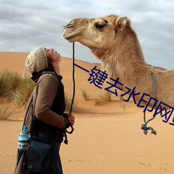 金年会 | 诚信至上金字招牌