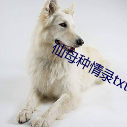 仙母種情錄txt