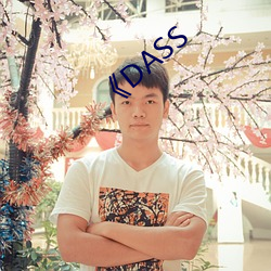 《DASS （兆头）