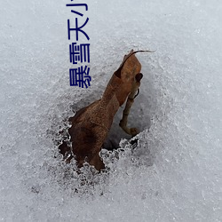 暴雪(xuě)天小男孩骑(qí)马去吃米线