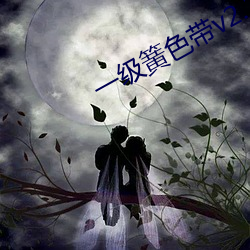 一(一)级(級)簧色带v2.24.0
