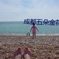 成都五朵金花建筑 （民不聊生）