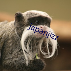 japanjizz （情真意切）