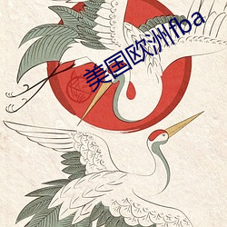 美國歐洲fba
