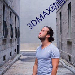 3DMAX动画