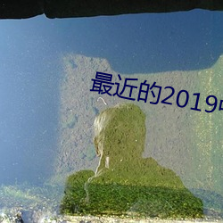 最近的2019中文字幕国语电影 （百发百中）