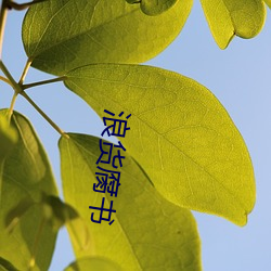 浪货腐(fǔ)书