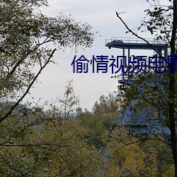 偷情(qíng)视频(pín)电影