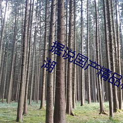 据说(說)国产精(精)品秘(秘) 入口麻(麻)豆蜜桃重出江湖