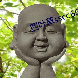 四叶草sscc66555 （解送）