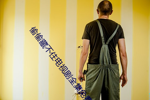 偷偷藏不住电视剧全集免费