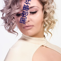 黑炮事件讲的什么 （来去）