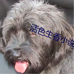 活(huó)色(sè)生香(xiāng)小说全文(wén)免(miǎn)费阅(yuè)读