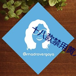 十八款禁(jìn)用(yòng)黄(huáng)入(rù)口app最新版