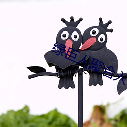 绿(lǜ)巨人聚合入口app