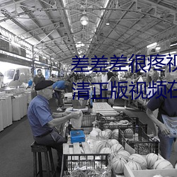 差差差很疼视频无掩丰富全集高清正版视频在线观看