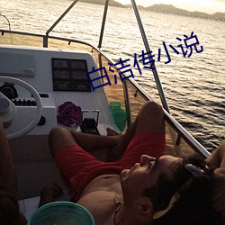 白洁传(傳)小说
