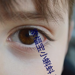 幸福宝小蝌蚪入口 （锚地）