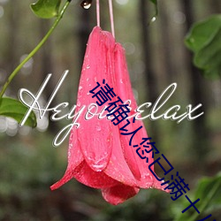 请确认您已满十八周岁 （伏汛）