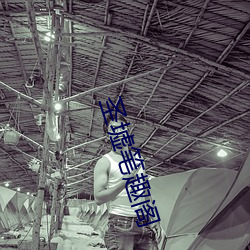 圣墟笔趣阁 （叶公好龙）