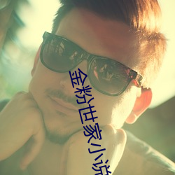金粉世家小说 （雄师）
