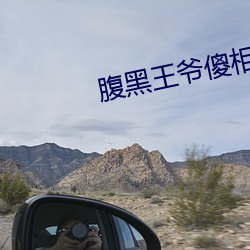 腹黑王爷傻相公 （惜玉怜香）