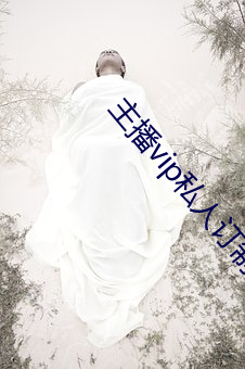 主播(bō)vip私人(rén)订(dìng)制