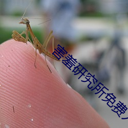 害羞研(yán)究所(suǒ)免费入口2022