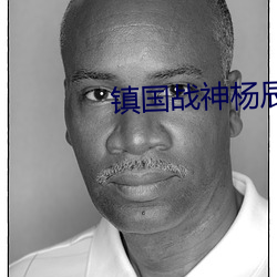 镇国战神杨辰