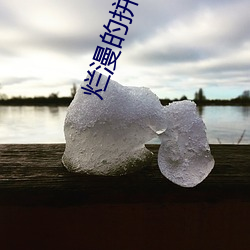 烂漫的拼(pīn)音与意义(yì)