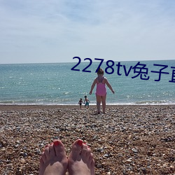 2278tv兔子直播app （击石弹丝）