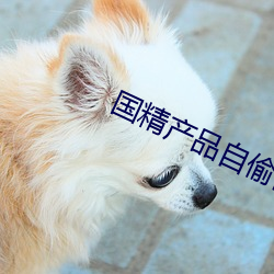 国精产品(pǐn)自偷自偷(tōu)张警官(guān)